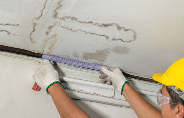 Reliable Water Damage contractor in Collinsville, VA by Water Damage Irwin